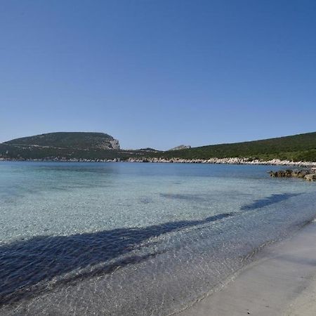 Pischina Salida-Villetta Pavoncelle Alghero Exteriér fotografie